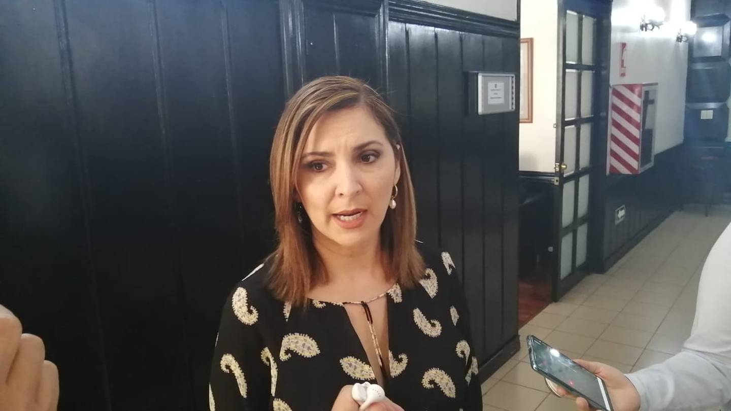 Silvia Hernández, jefa del PLN, calificó como "una bajeza" las declaraciones de su compañero de fracción, Daniel Ulate. Foto: Aarón Sequeira.