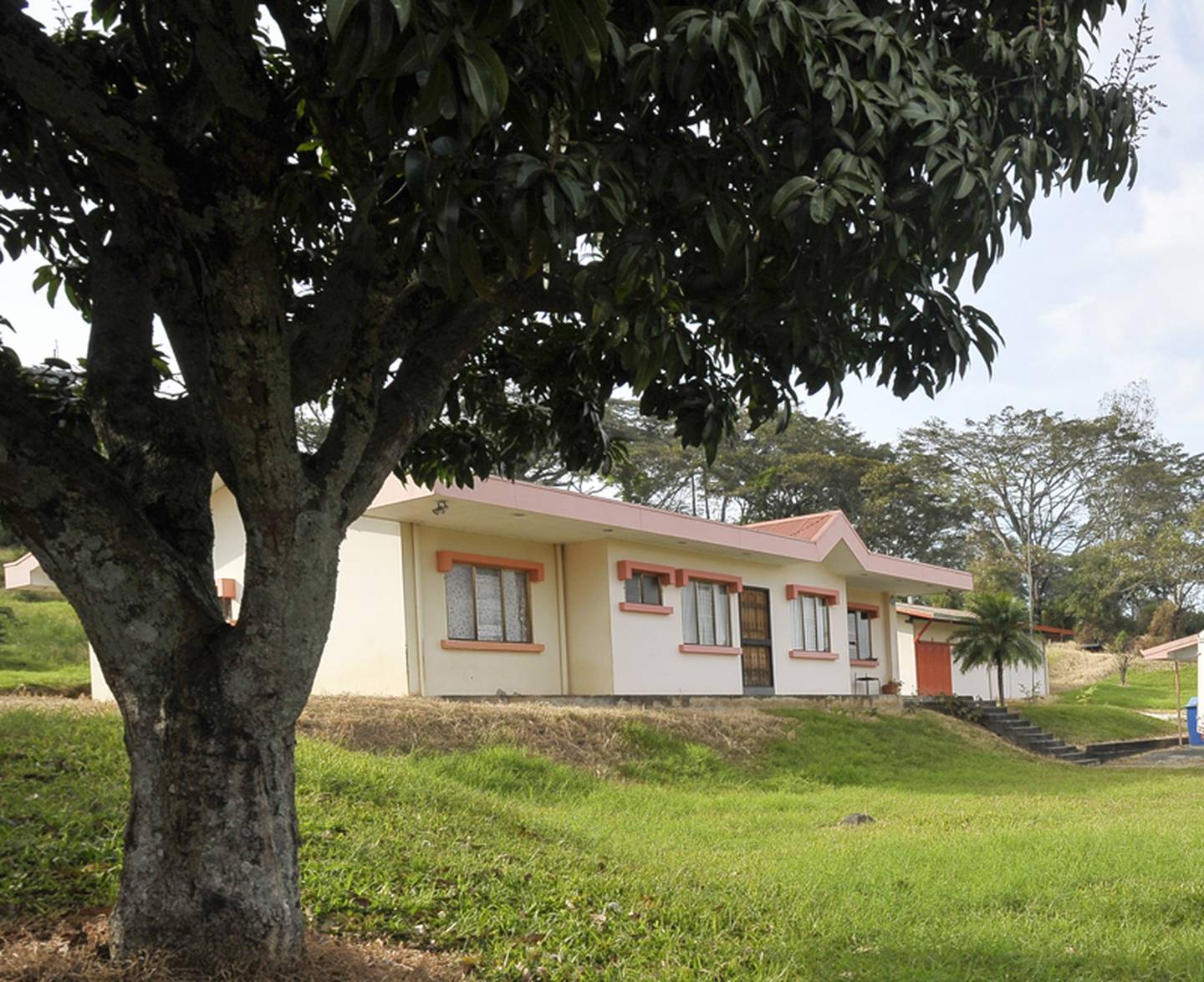 CCSS y el Banco Popular reclutan a familias para cuidar casas | La Nación