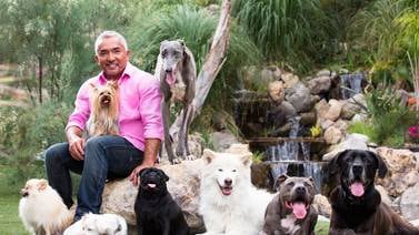 César Millán, el encantador de perros, ofrecerá una charla en Multiplaza Escazú