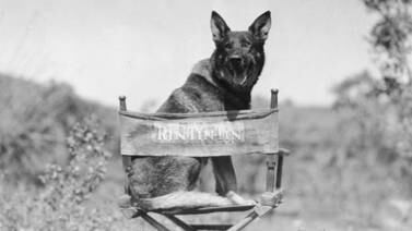 Página Negra: Rin Tin Tin, un perro de otro mundo