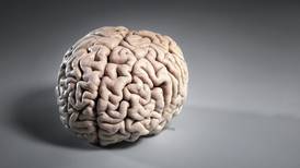 El cerebro: Un desconocido en nuestra cabeza