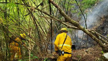 Incendios forestales afectan Pico Blanco, zona protectora de Tivives y parque Diría