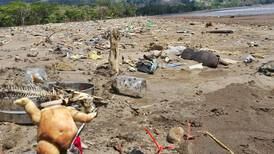 Reciclaje es insuficiente para combatir contaminación por plástico en los océanos