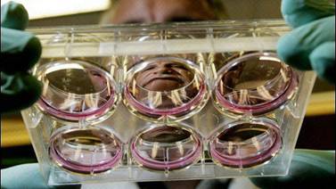 Tratamiento con células madre repara casos de impotencia sexual