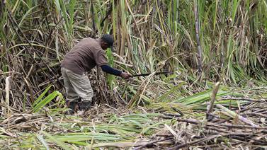 Canadá informa a OMC de eventuales represalias contra Costa Rica por elevar aranceles al azúcar