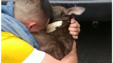 Video muestra a dueño de perro que falleció en autobús cuando guarda valija con el animal