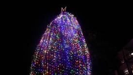 Iluminación de árbol de Navidad de Hospital de Niños será sin público 