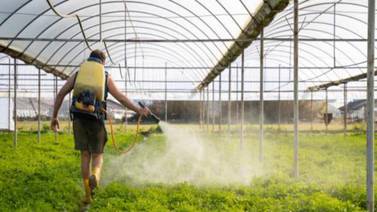 Biopesticidas se abren camino en Brasil, el país de los ‘agrotóxicos’