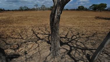17 de junio: Día de la Desertificación y Sequía