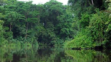 Peligra el 30% de los ecosistemas de Costa Rica