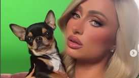 Paris Hilton pierde su chihuahua y contrata detective y psíquico de mascotas para encontrarla