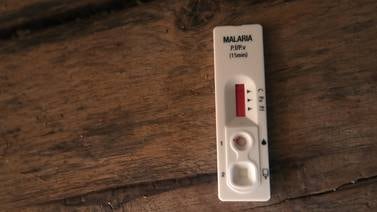 Brote de malaria en zona sur obliga a Salud a tomar acciones inmediatas 