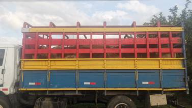 Policía intercepta camión con 13 reses robadas en Guatuso