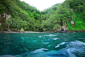 Sala IV rechaza intento de pescadores para reducir área de protección de Isla del Coco