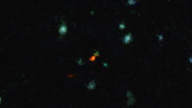 Astrónomos logran ver por primera vez dentro de una galaxia temprana