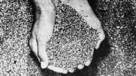 Hoy hace 50 años: Policía decomisó un enorme cargamento de semillas de marihuana