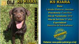 OIJ jubila a Kiara, la oficial canina PJ-613432, después de cinco años de servicio