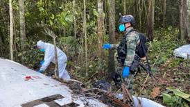 ‘Están vivos’: niños que cayeron a selva colombiana en una avioneta dejan rastros, dicen rescatistas