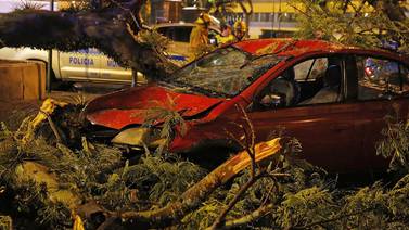 Taxista y pasajero sobreviven a desplome de árbol en el parque Morazán