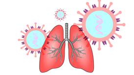 Cáncer de pulmón: de los más comunes, letales y silenciosos ¿cómo detectarlo a tiempo?