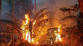 Costa Rica enfrenta cantidad récord de incendios forestales en un año