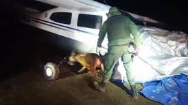 Avioneta siniestrada en Upala llevaba más de 300 kilos de cocaína