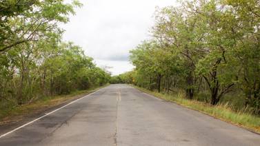 Siembra de árboles favorecerá el paso de fauna entre los parques nacionales Santa Rosa y Guanacaste