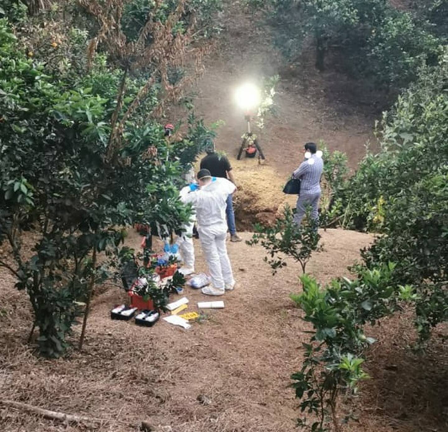 Lugar en San Mateo de Alajuela donde hallaron el cuerpo que sería de Karen Bermúdez. Foto OIJ.