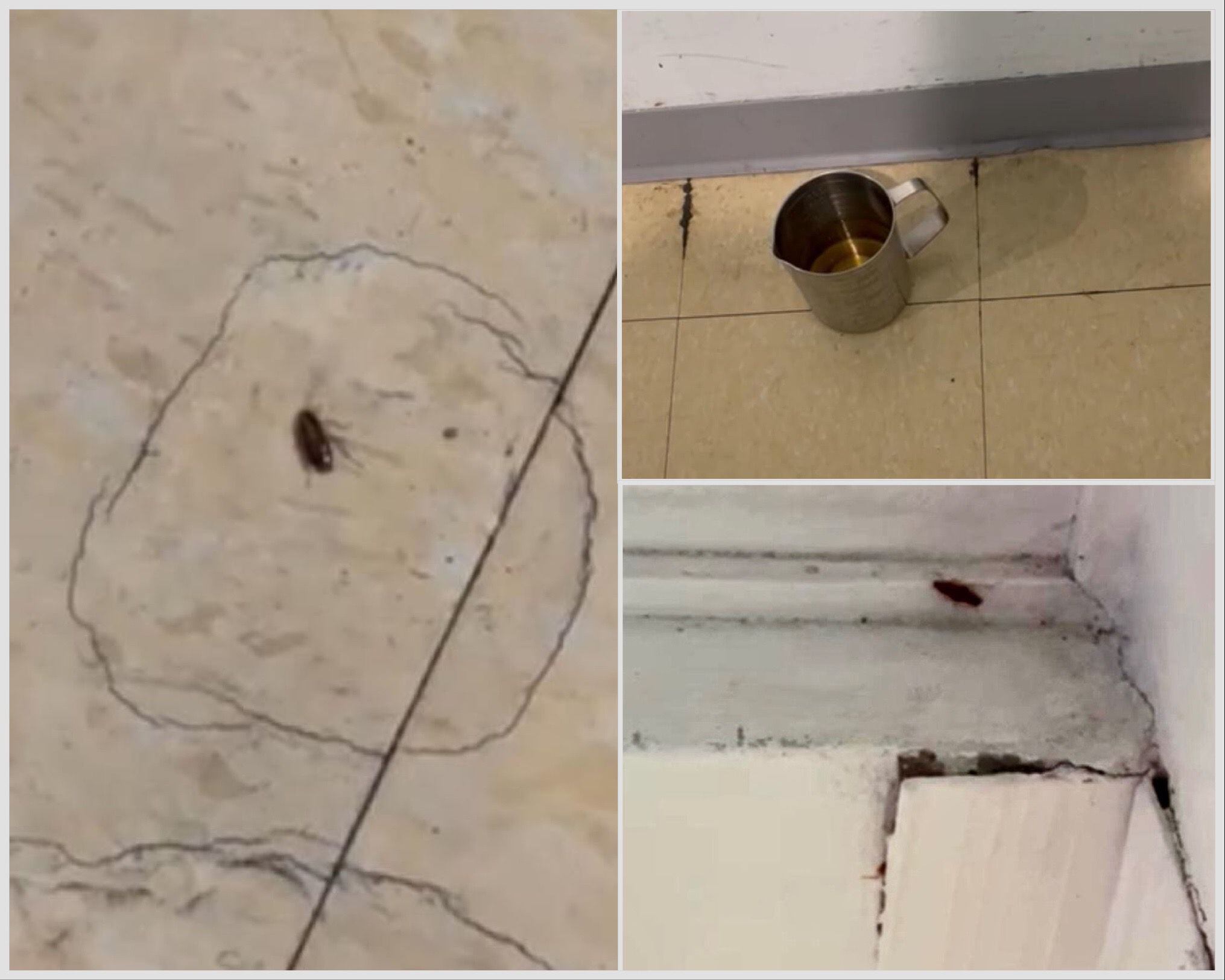 Paciente con leucemia está en cuarto de aislamiento del Hospital  México acompañado de una plaga de cucarachas, denuncia su esposa. En las imágenes, los insectos, y el tarro que le dieron al paciente el lunes para que orinara y defecara ahí. 