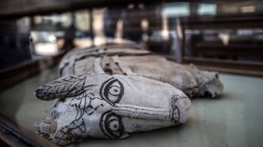 Momias de cachorros de león fueron descubiertas en necrópolis egipcia, cerca de las pirámides de Giza 