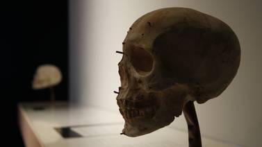 Exposición en Londres repasa la historia de la medicina  forense  