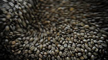 Tostadores de café y comerciantes denuncian intento de poner barreras a importación del grano
