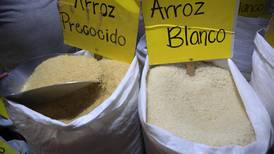Producción de arroz en Costa Rica aumentó en más de un 44% en el 2021 