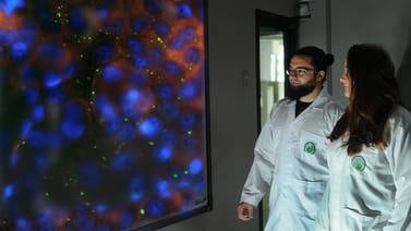 Científicos de la UCR descubren nueva bacteria en Nicoya
