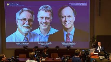 Descubrir cómo se adaptan las células a los niveles de oxígeno permite a tres científicos ganar el premio Nobel