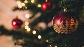 Ciencia responde preguntas sobre uno de los principales símbolos navideños: el árbol