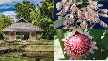 Jardín Botánico Lankester: Precio, horario y todo lo que necesita saber de este paraíso de flores
