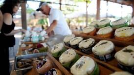 Empresa productora de quesos ‘gourmet’ proyecta construir nueva planta