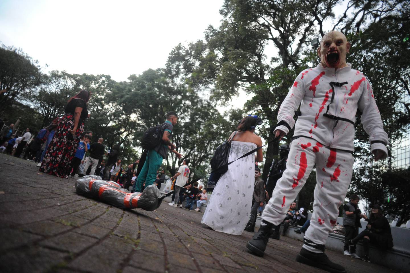 28\10\23 San José,edición N#15 del Zombie Fest. una horda de ‘muertos vivientes’ saldrán del parque Morarán; Zombie Parade crea  un espacio para divertirse y recrearse en familia, bajo la temática zombie. Fotos: Jorge Navarro para La Nación.