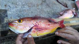 Pescadores artesanales luchan por primera zona de pesca sostenible