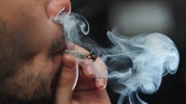 'Marihuana sintética' 10 veces más potente circula en el país 