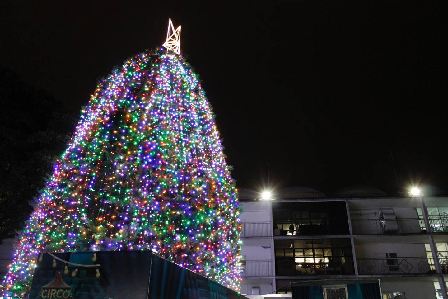 El 3 de diciembre del 2020 el Hospital de Niños realizó la tradicional iluminación del arbolito de navidad