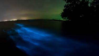Bioluminiscencia: cuando una playa tica parece un cielo repleto de estrellas