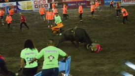 ¿Cuánto costará ver las corridas de toros en Pedregal? 