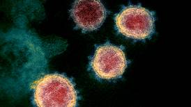 Ministerio de Salud identifica trío de síntomas del virus en Costa Rica