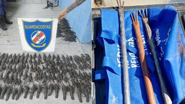 Cuatro sujetos detenidos por pescar langostas juveniles en el golfo de Nicoya