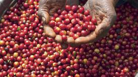 Costa Rica promoverá su producción agrícola sostenible en cumbre climática de Egipto