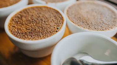 ¿Amante del café? Disfrute de un ‘coffee tour’ en Costa Rica y aproveche el grano de oro en el punto álgido de su temporada  