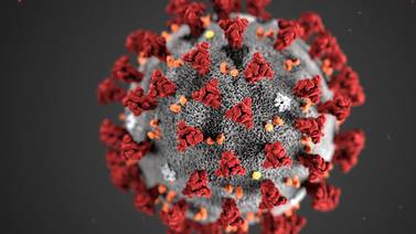 Costa Rica se prepara para conocer a fondo al coronavirus causante del covid-19 en su territorio