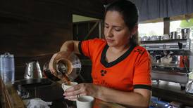 Aumenta comercialización de café tico para consumo interno